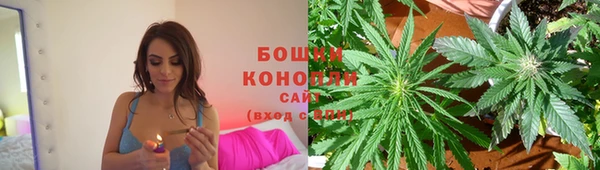 прущие грибы Нязепетровск