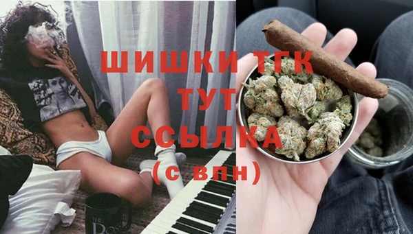 прущие грибы Нязепетровск