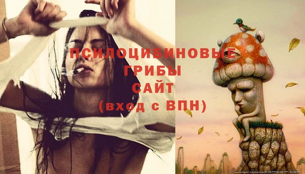 хмурый Нягань