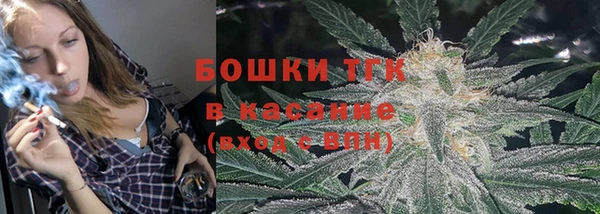 прущие грибы Нязепетровск