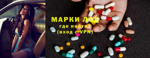 прущие грибы Нязепетровск