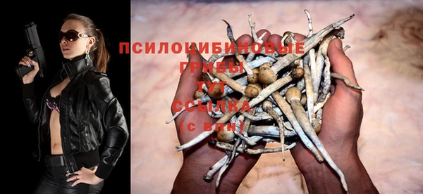 прущие грибы Нязепетровск