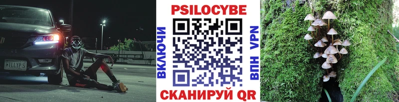 darknet официальный сайт  где купить наркоту  Алдан  Псилоцибиновые грибы ЛСД 
